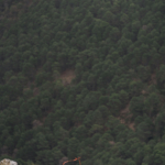 Maratón Trail La Osera 2022 | Fotógrafo deportivo