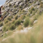 Maratón Trail La Osera 2022 | Fotógrafo deportivo