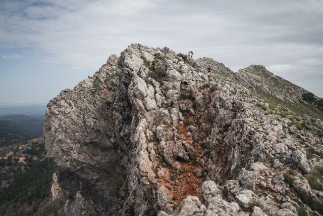 Maratón Trail La Osera 2022 | Fotógrafo deportivo